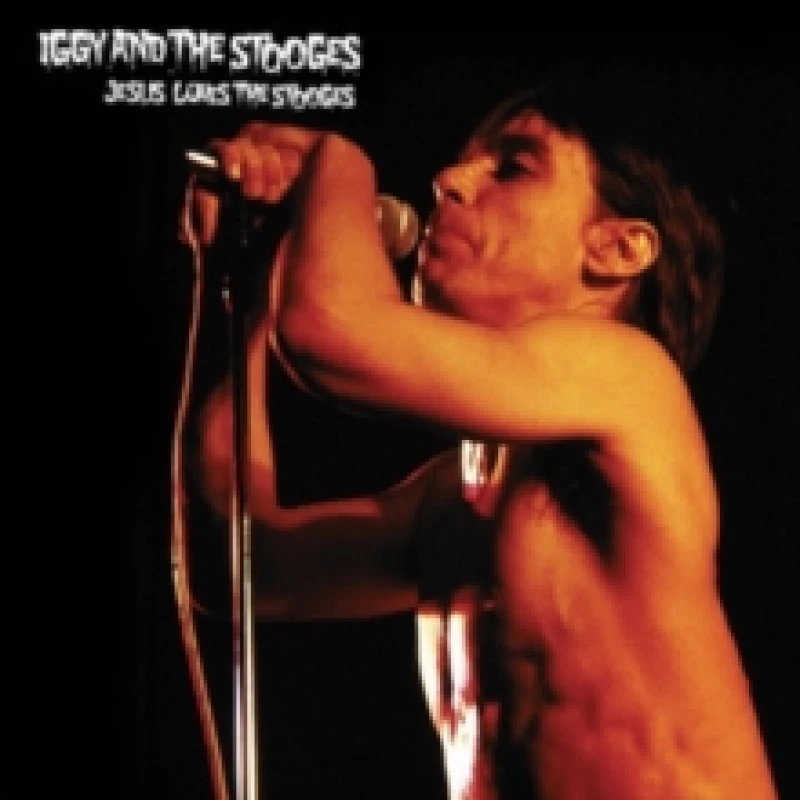 Image of Jesus Loves the Stooges Vinyl