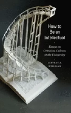 Image of how to be an intellectual essays on criticism culture and the university