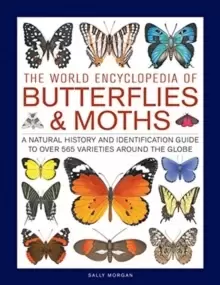 Image of Butterflies & Moths, The World Encyclopedia of : A natural history and identification guide to over 565 varieties around the globe