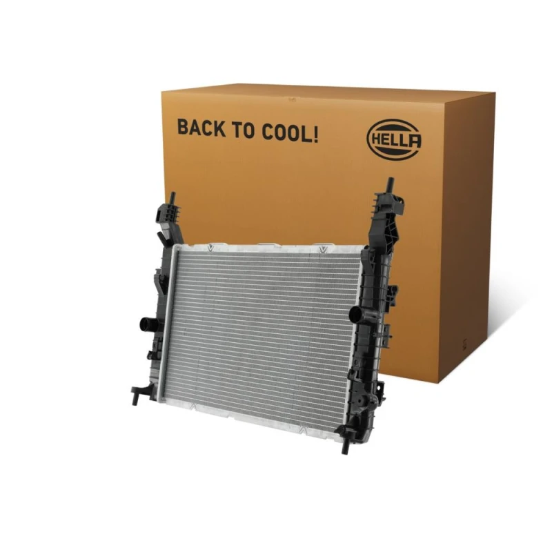 Image of HELLA Engine radiator HELLA 8MK 366 301-211