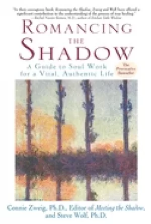 Image of romancing the shadow a guide to soul work for a vital authentic life