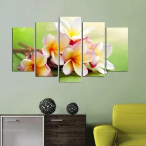 Image of 5PMDF-33 Multicolor Decorative MDF Painting (5 Pieces)