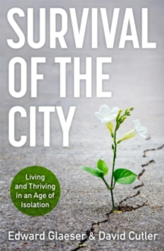 Image of Survival of the City : Living and Thriving in an Age of Isolation Hardback