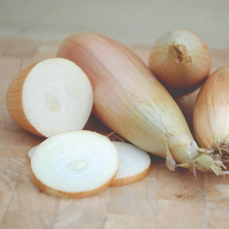 Image of Thompson & Morgan Onion Kappa Seeds - Cylindrical Golden-Skinned High-Yield Hardy Annual For Slicing & Storing (200 Seeds)