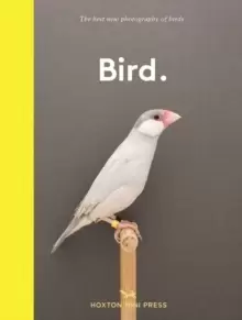 Image of Bird. : The best new photography of birds