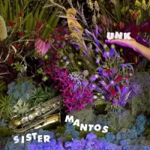 Image of UNK by Sister Mantos CD Album