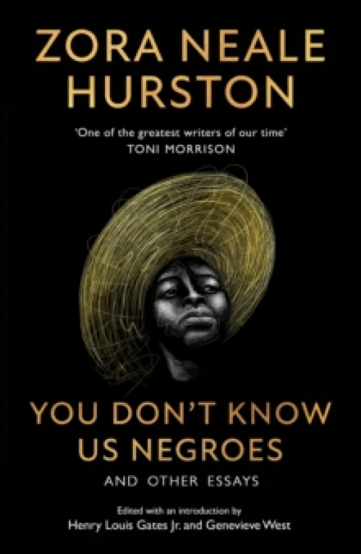 Image of You Dont Know Us Negroes and Other Essays Paperback / softback