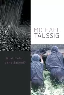 Image of What Color Is the Sacred?