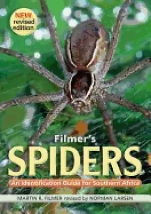 Image of filmers spiders an identification guide to southern africa