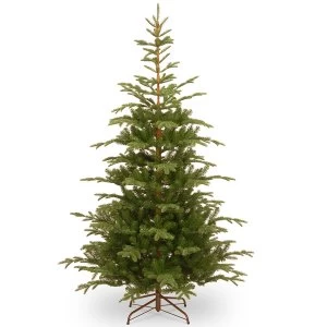 image of National Tree Company Norwegian Spruce Christmas Tree - 7.5ft