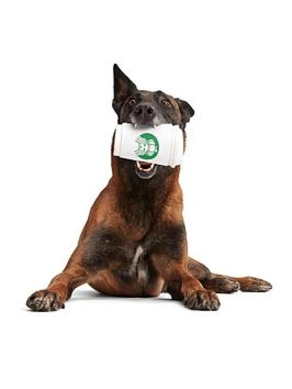Image of Bark Pupkin Spice Yappucino Dog Toy