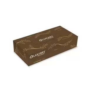 Image of Lucart EcoNatural Facial Tissues 100 Sheets Pack of 40 841073 ESP34701
