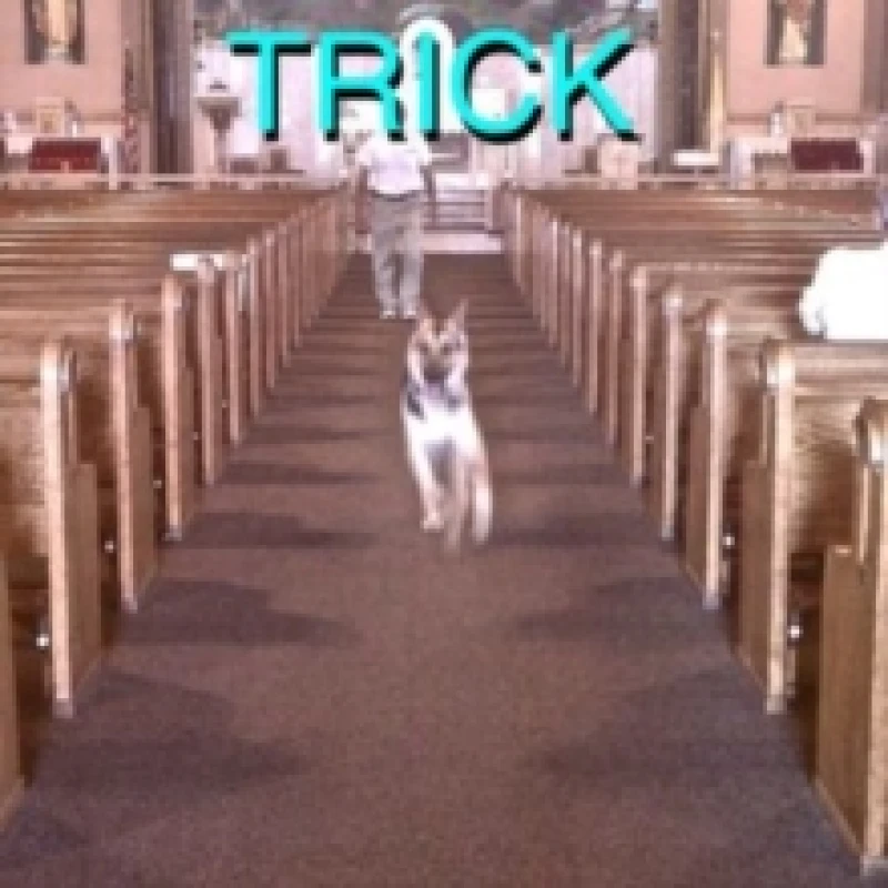 Image of Alex G Trick LP + 7" Single Black unisex