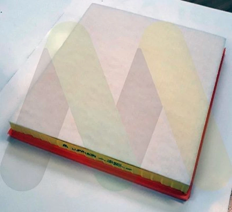 Image of MOTAQUIP Air filter MOTAQUIP LVFA1638