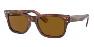 Ray-Ban Sunglasses RB2283 Mr Burbank 954/33