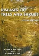 Image of diseases of trees and shrubs