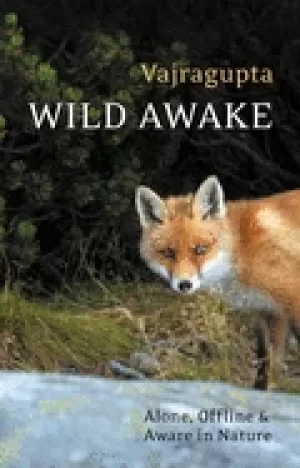 Image of wild awake alone offline and aware in nature