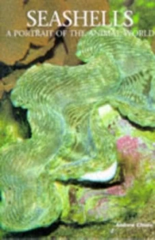 Image of Seashells by Andrew Cleave Book