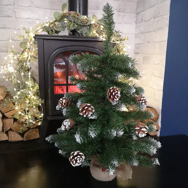 image of 60cm Mini Frosted Norway Tree with 72 Tips and Pine Cones