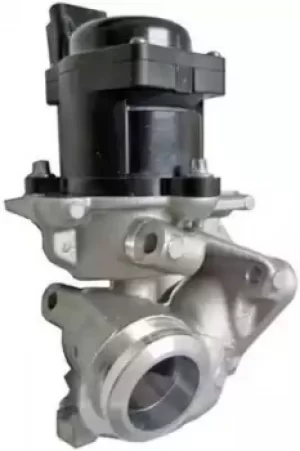 Image of EGR Valve 6NU010171-101 by Hella