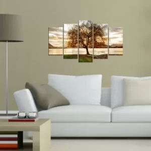 Image of 5MX-130 Multicolor Decorative MDF Painting (5 Pieces)