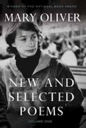 Image of new and selected poems volume one