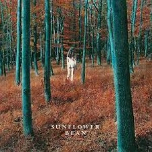 Image of I Hear Voices/The Stalker by Sunflower Bean Vinyl Album