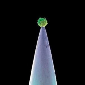 Image of New Blood Double by Peter Gabriel CD Album