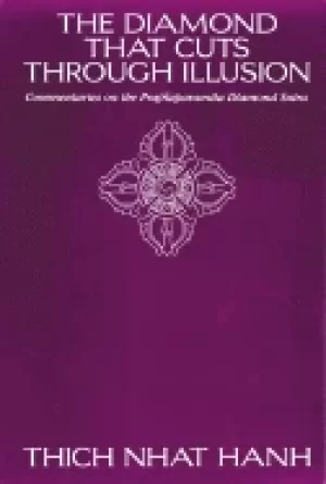 Image of diamond that cuts through illusion commentaries on the prajnaparamita diamo