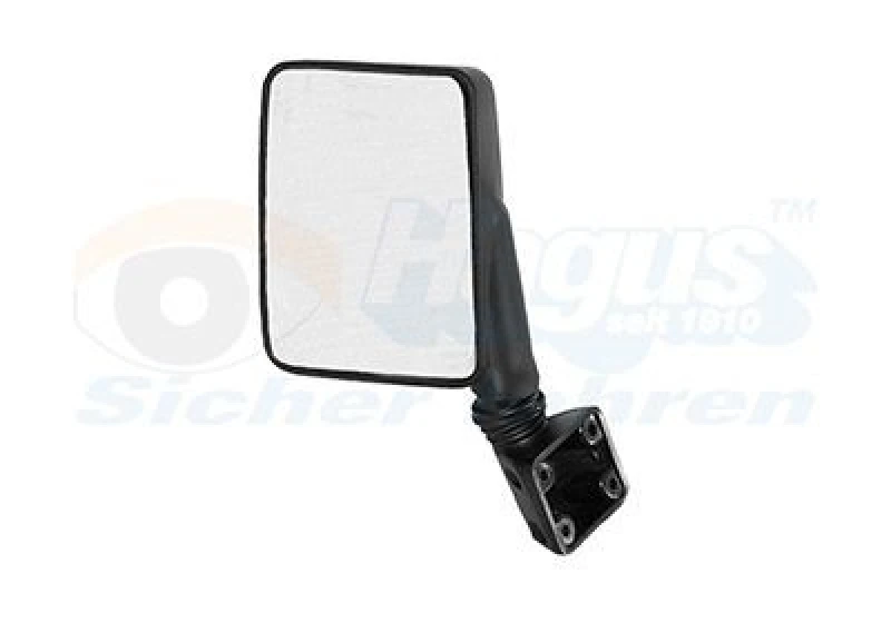 Image of VAN WEZEL Wing mirror VAN WEZEL 1745801