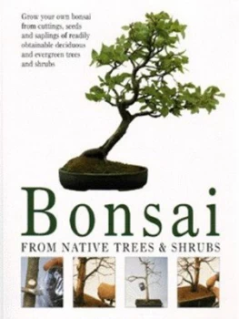 Image of Bonsai by Werner M Busch Paperback