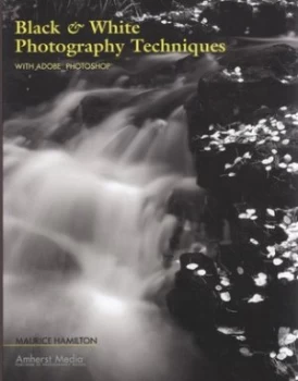 Image of Black and White Photography Techniques by Maurice Hamilton Paperback