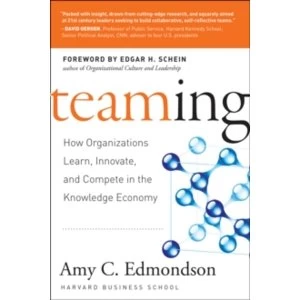 Image of Teaming to Innovate by Amy C. Edmondson (Paperback, 2013)