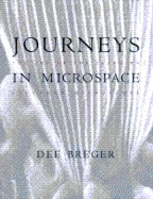 Image of journeys in microspace