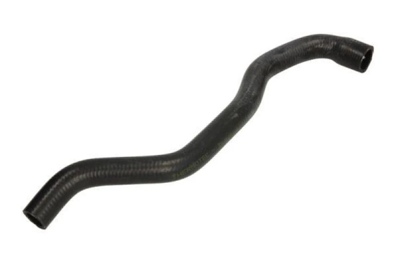 Image of THERMOTEC Radiator hose THERMOTEC DWB018TT