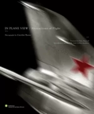 Image of in plane view abstractions of flight