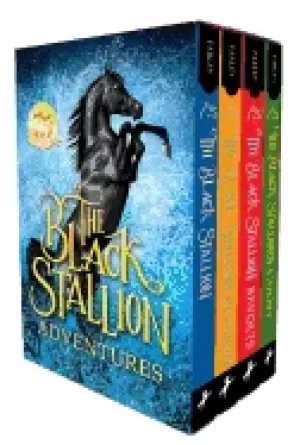 Image of black stallion adventures