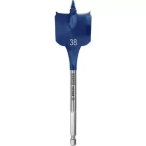 Image of Bosch Accessories 2608900329 Wood fraise 38mm Total length 152mm Hex shank