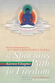 Image of A Spacious Path to Freedom : Practical Instructions on the Union of Mahamudra and Atiyoga