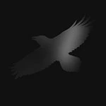 Image of Sigur Ros - Odins Raven Magic (Music CD)