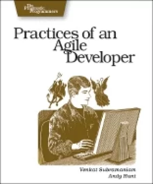 Image of practices of an agile developer working in the real world