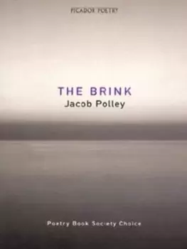 Image of The brink by Jacob Polley