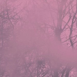 Image of Prins Emanuel - Diagonal Musik CD