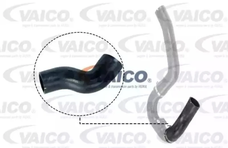 Image of Charger intake hose VAICO V24-0711