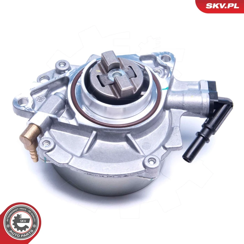 Image of ESEN SKV Brake vacuum pump ESEN SKV 18SKV055