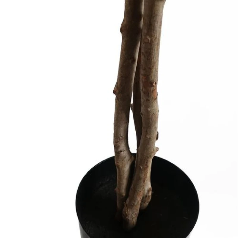 Image of Leaf 120cm Artificial Forsythia Tree Realistic Large Natural Yellow
