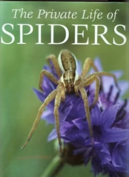 Image of The Private Life of Spiders by P. D Hillyard Hardback