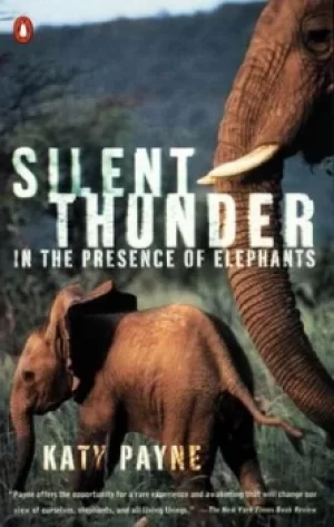 Image of Silent Thunder by Katy Payne