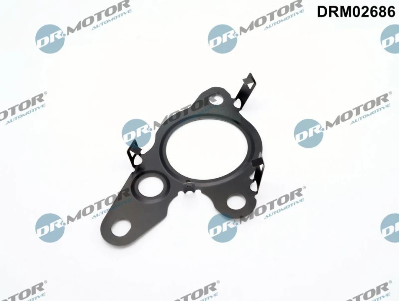 Image of DR.MOTOR AUTOMOTIVE EGR valve gasket DR.MOTOR AUTOMOTIVE DRM02686