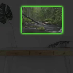 Image of 4570DHDACT-003 Multicolor Decorative LED Lighted Canvas Painting